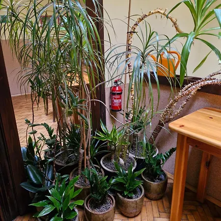 因大罗客房酒店